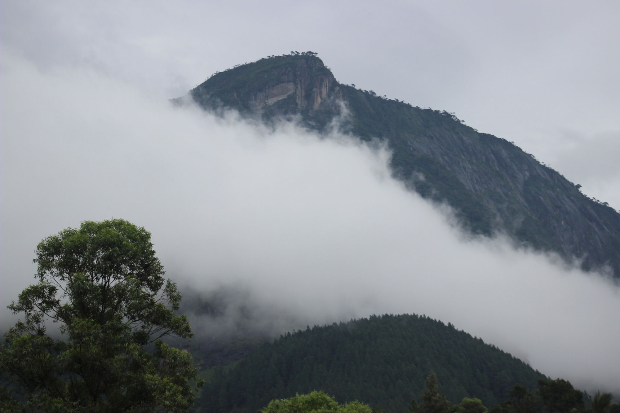 The Glenrock Wellness Nature Resort Белиулойя Экстерьер фото